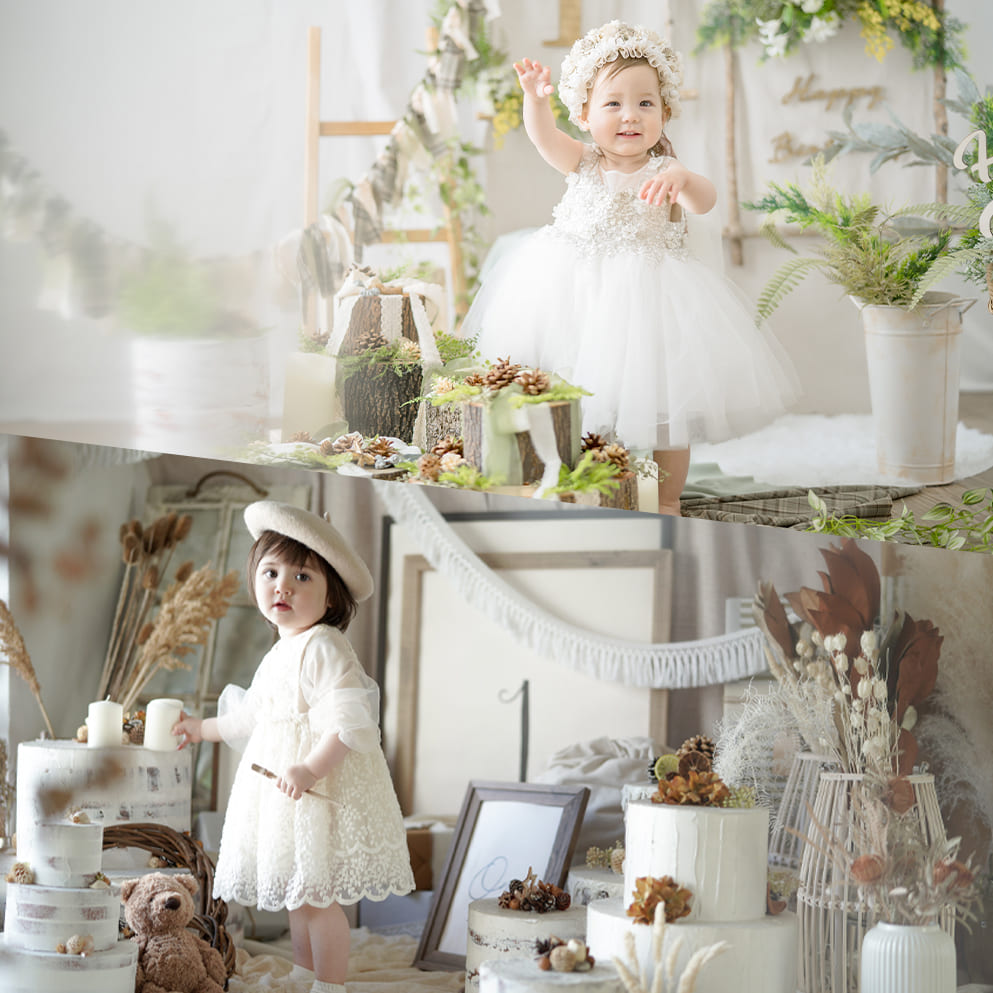 forêt/gâteauスタジオ