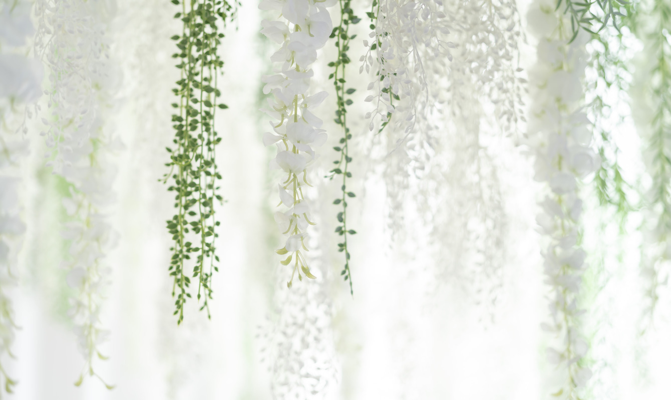 店内イメージ画像