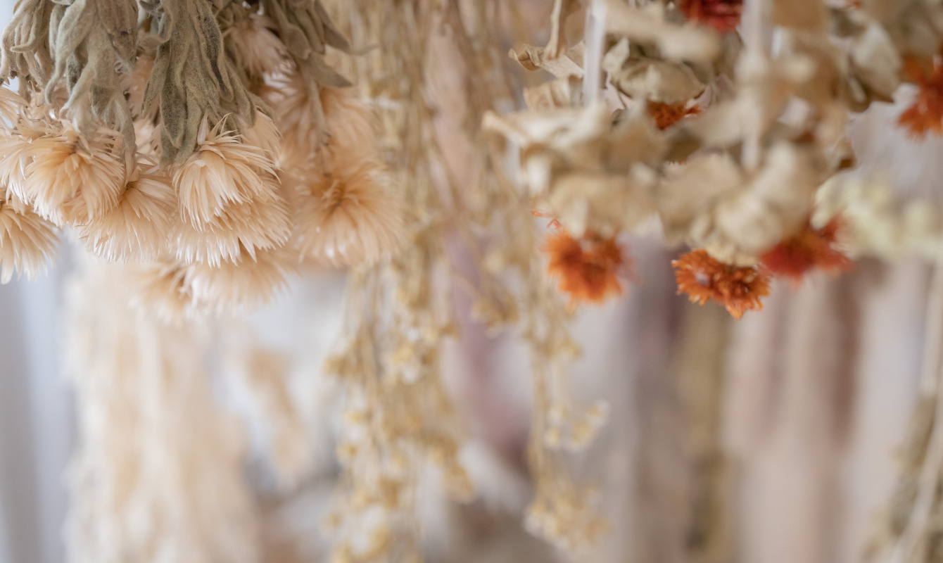 店内イメージ画像