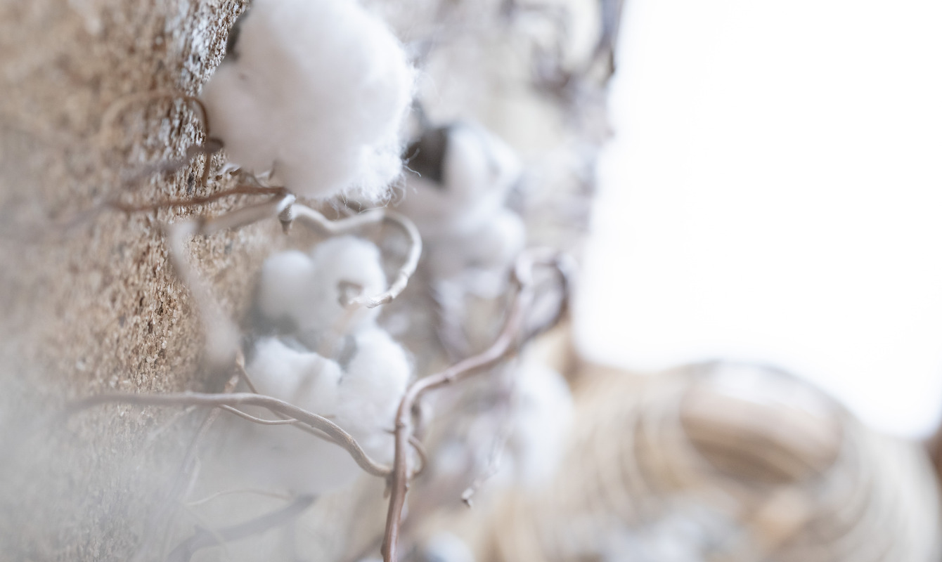 店内イメージ画像