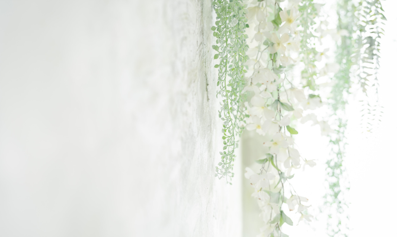 店内イメージ画像