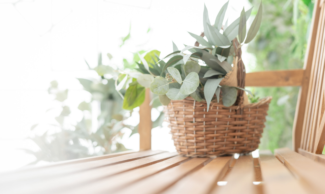 店内イメージ画像