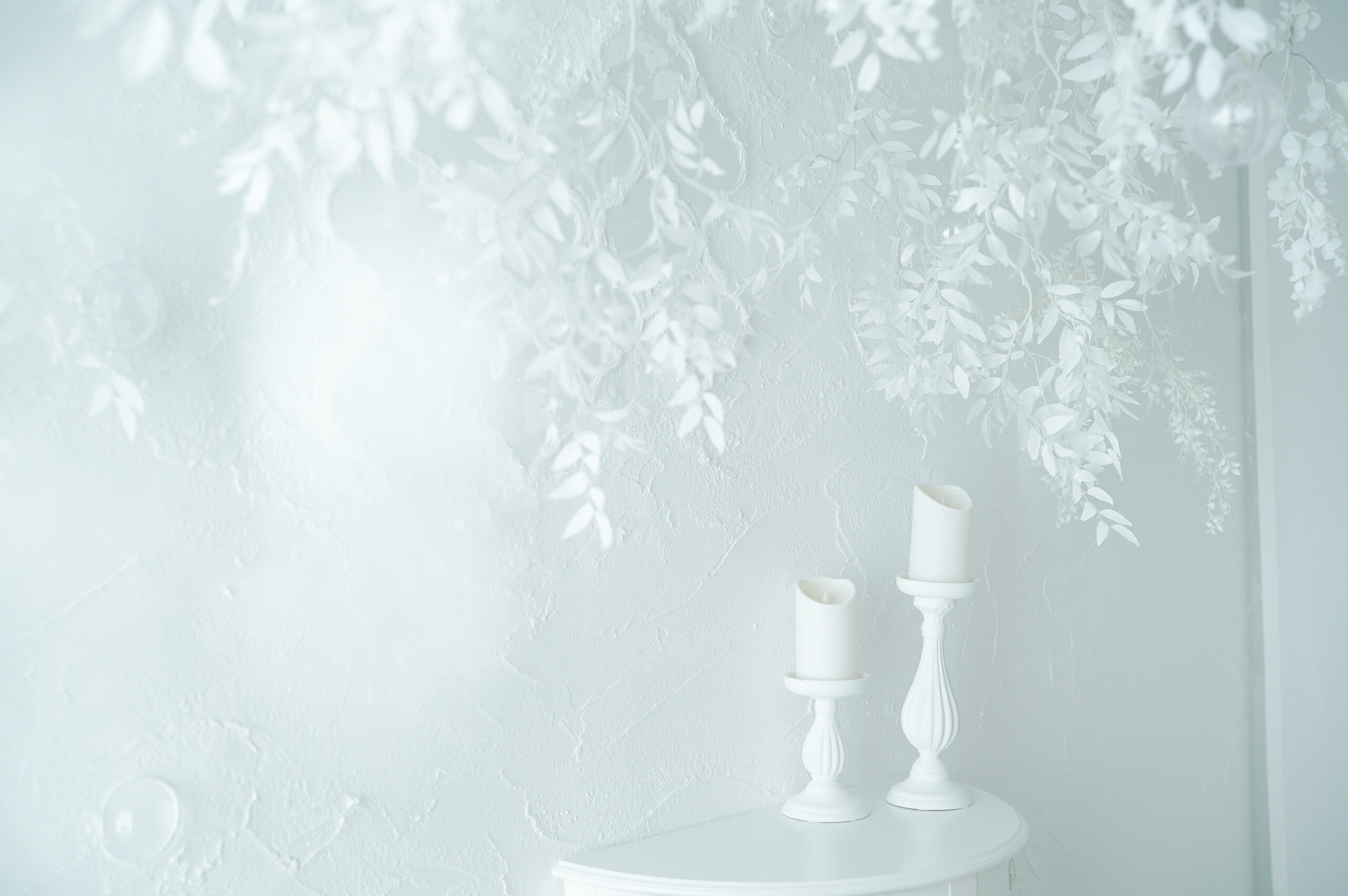 店内イメージ画像