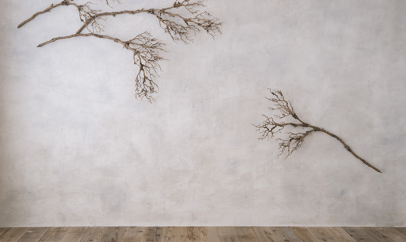 店内イメージ画像