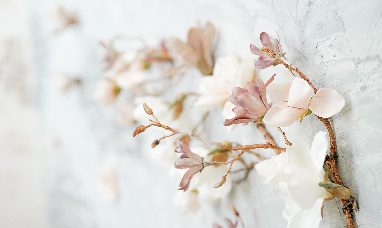 店内イメージ画像