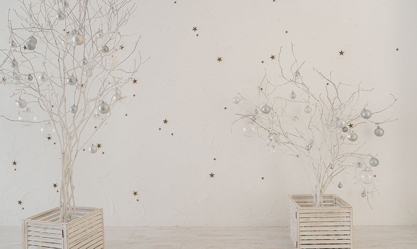 店内イメージ画像