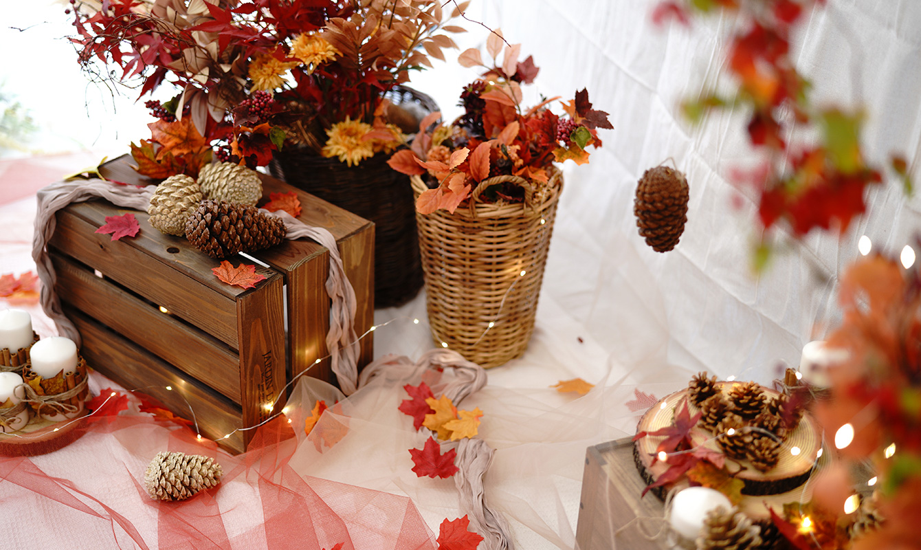 店内イメージ画像