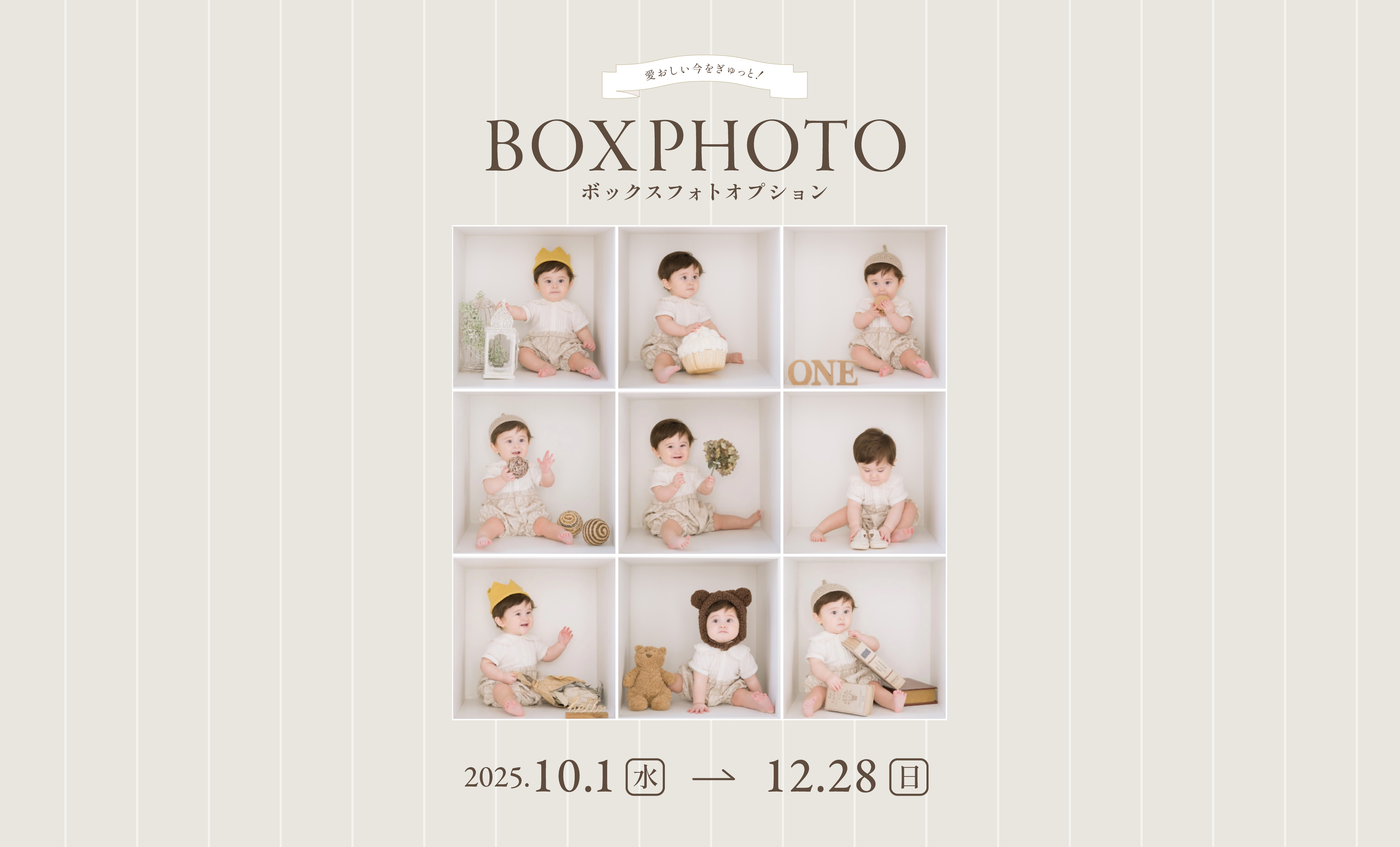 ボックスフォトが撮れる♪オプションのご案内