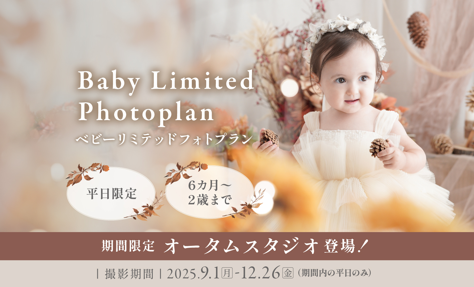 【平日限定】ベビー リミテッドフォトプラン登場