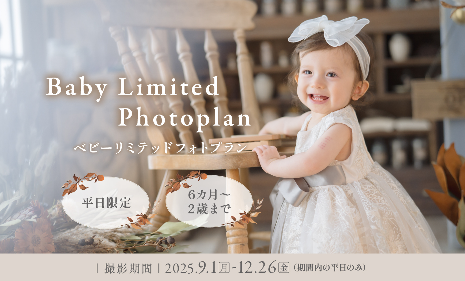 ベビーリミテッドフォトプラン